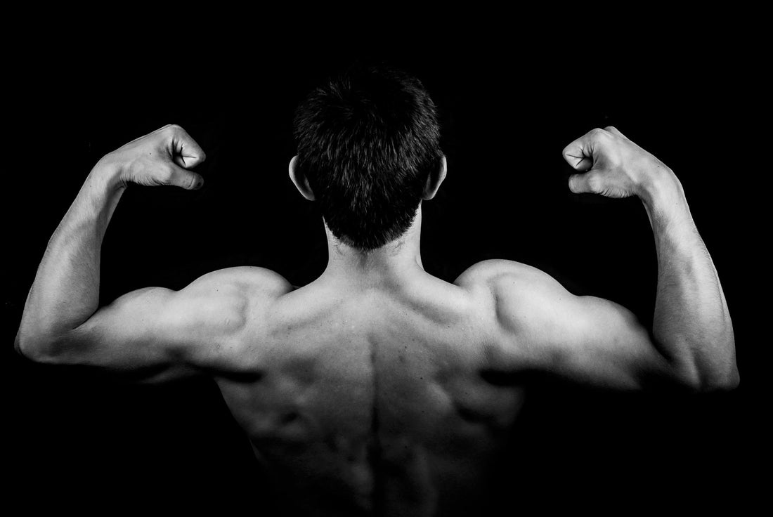 Long-Term Fasting Doesn’t Harm Muscles—Here’s Why