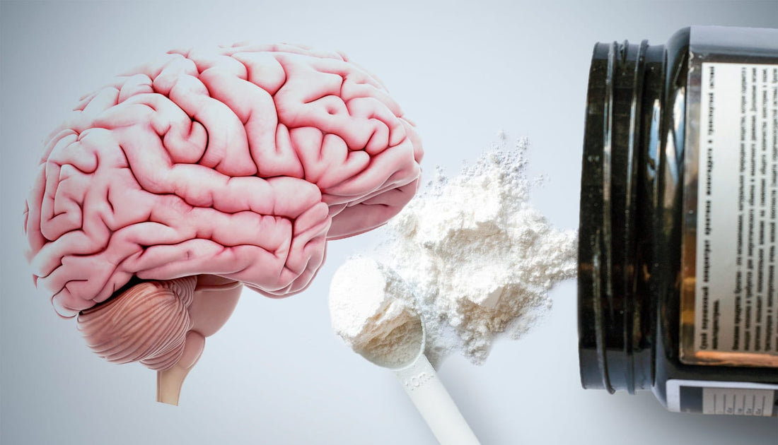 Can Creatine Help Treat Depression?