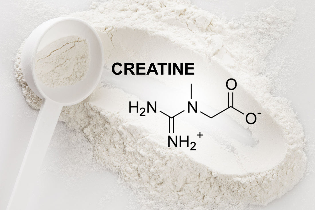 Creatine and Health: What You Should Know