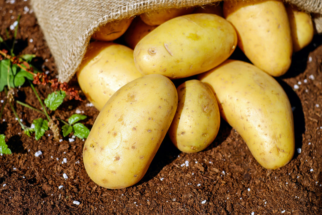 Do Potatoes Increase Your Risk of Type 2 Diabetes?