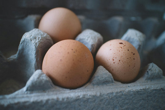 Are High-Protein Diets Really Harmful? Here’s What Science Says