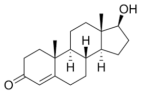 Understanding Creatine and Male Fertility