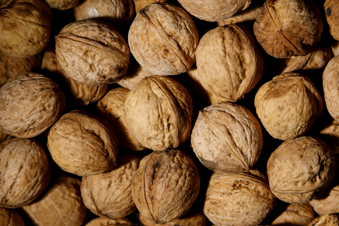 Role of Walnuts In Gut And Heart Health