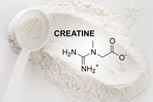 Creatine and Health: What You Should Know