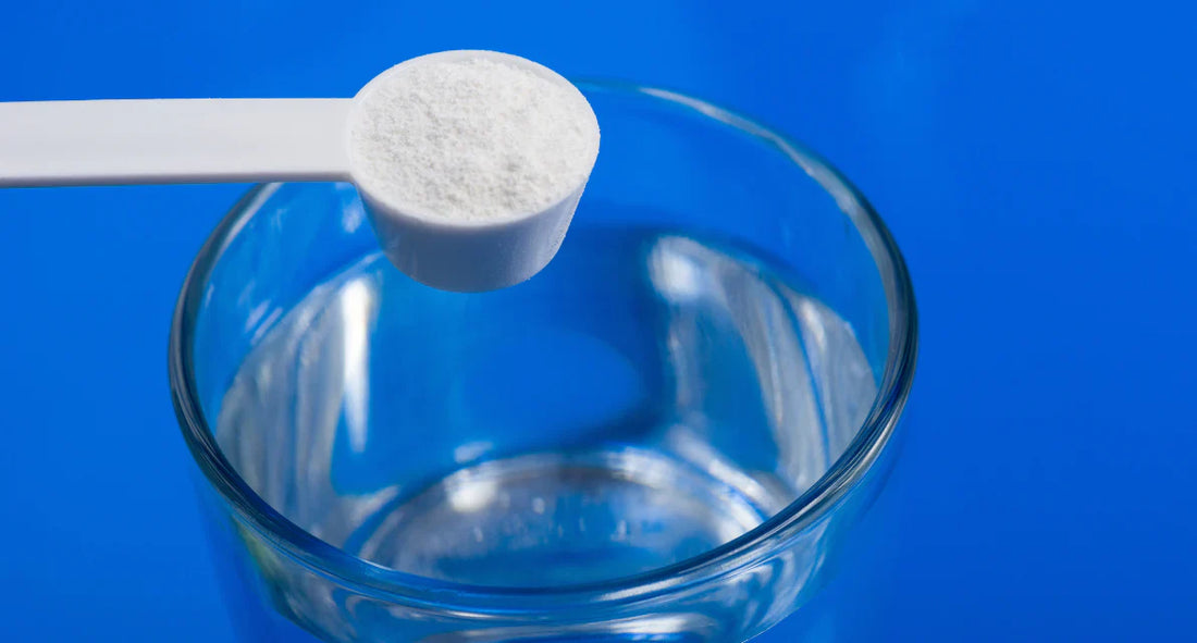 Can Creatine Help Older Adults Stay Strong and Active?
