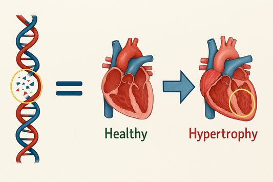 What Happens to an Athlete’s Heart After Retirement?