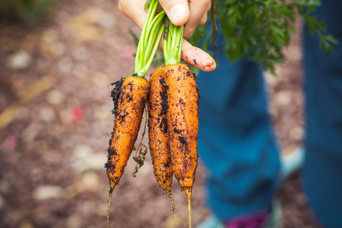 Are Organic Foods Really More Nutritious?