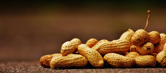 Is Cheese or Peanut Butter a Good Protein Source?