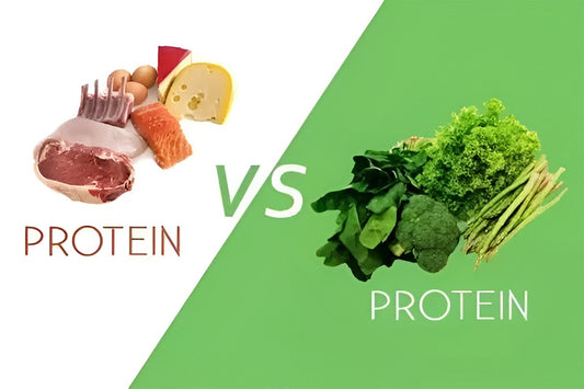 Can Plant Protein Build Muscle Like Animal Protein?