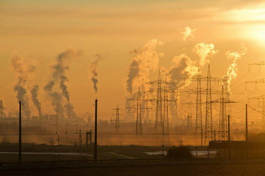 How Environmental Injustice Is Harming Heart Health