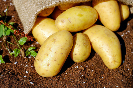 Do Potatoes Increase Your Risk of Type 2 Diabetes?