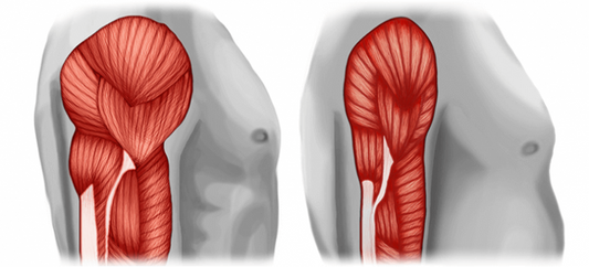 What is Cancer Cachexia?
