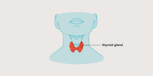 Understanding Thyroid Tests: Key Markers for Thyroid Health